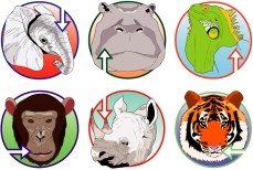 zoo_signs_by_grace2design